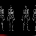 Enthésopathies / enthésites : Évaluation clinique des principaux sites d’enthésopathies