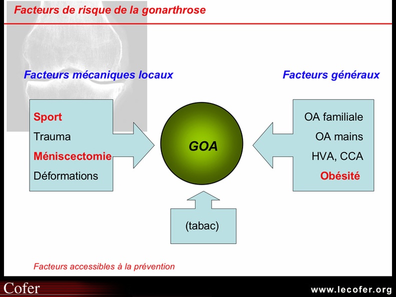 Physiopathologie de l'arthrose : facteurs étiologiques