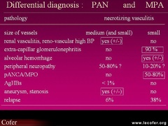 Vascularites : diagnostic différentiel entre périartérite noueuse et micropolyangéite