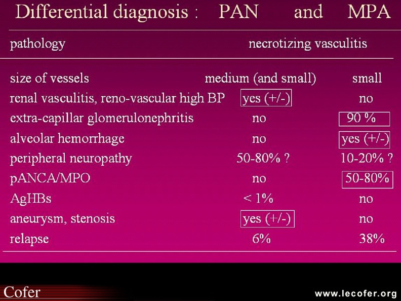 Vascularites : diagnostic différentiel entre périartérite noueuse et micropolyangéite